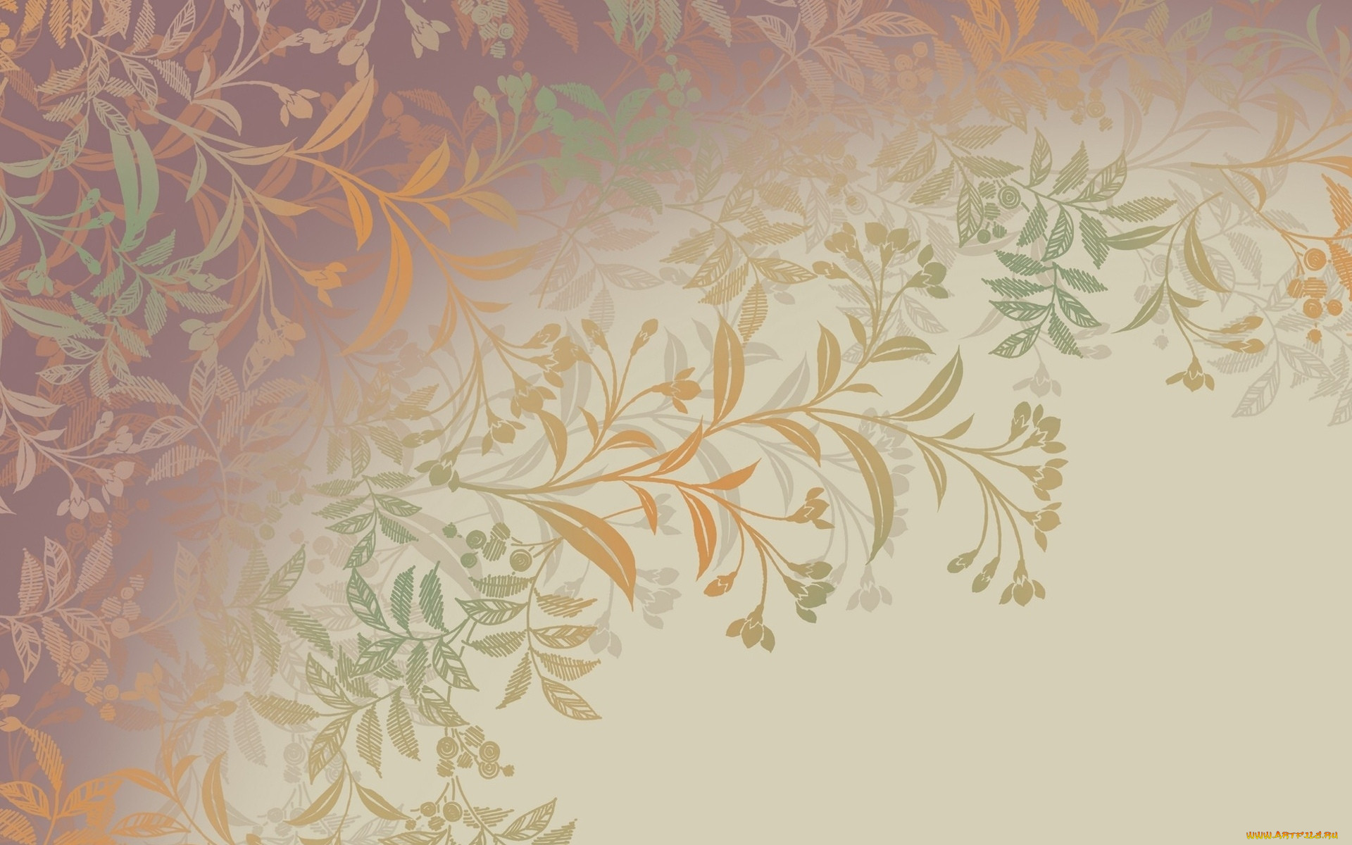  ,  , graphics, , , 